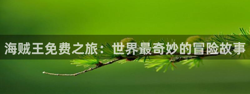 yy漫画www入口：海贼王免费